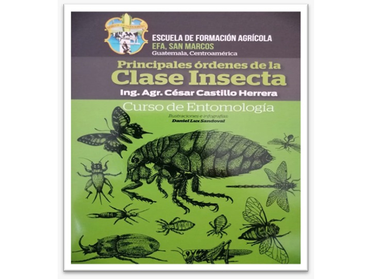Manual de Entomología