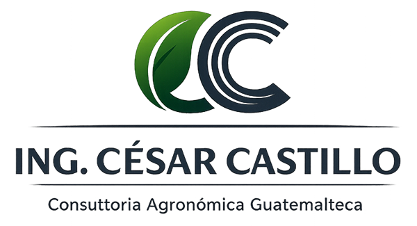 logotipo cesar castillo