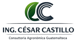 Ingeniero César Castillo Consultor Agrícola y Forestal Independiente